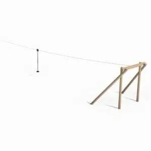 Robinia taubane 30m