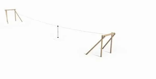 Robinia taubane 30m